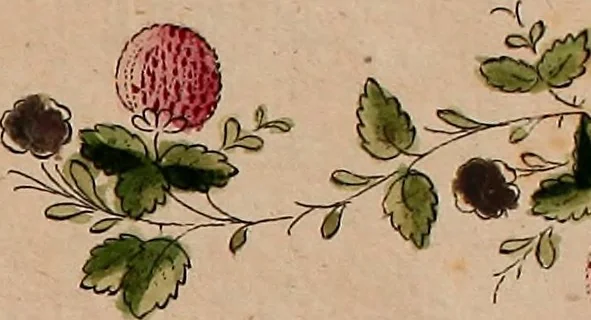 An illustration from Zeichen- Mahler- und Stickerbuch zur Selbstbelehrung für Damen, welche sich mit diesen Künsten beschäftigen, 1795, leaf 64