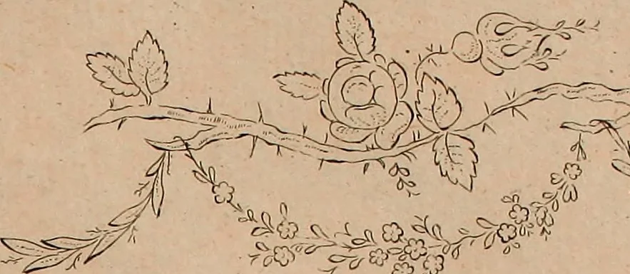 An illustration from Zeichen- Mahler- und Stickerbuch zur Selbstbelehrung für Damen, welche sich mit diesen Künsten beschäftigen, 1795, leaf 66