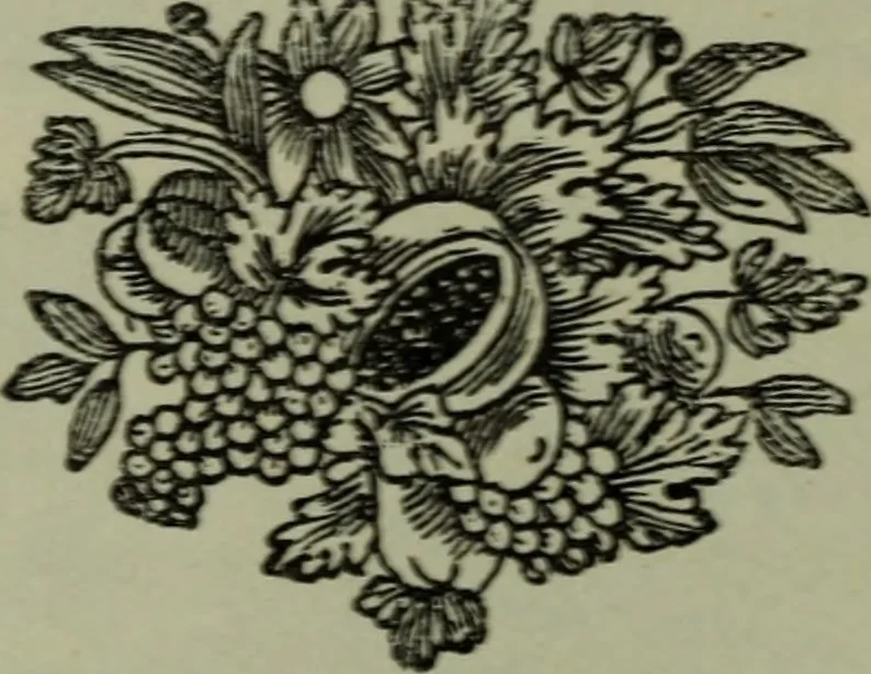 An illustration from Zeitgenossen Chodowieckis; lose Blätter schweizerischer Buchkunst, 1921, leaf 31