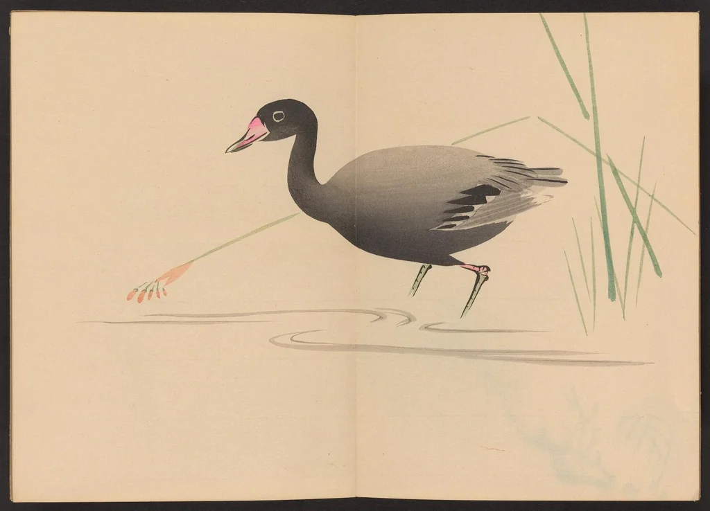 An illustration from Zeshin iboku tairyūkyo gafu, 1907, leaf 10