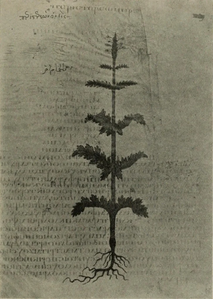 An illustration from Zeus : a study in ancient religion, 1914, leaf 509