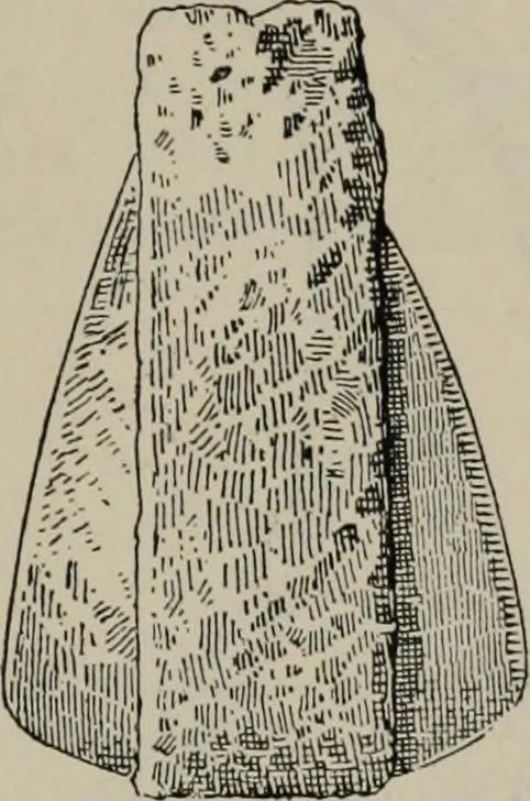 An illustration from Zeus : a study in ancient religion, 1914, leaf 626