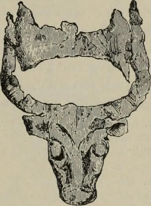An illustration from Zeus : a study in ancient religion, 1914, leaf 659