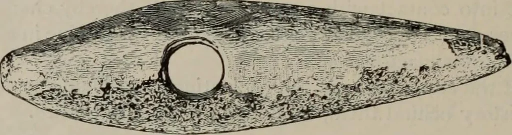 An illustration from Zeus : a study in ancient religion, 1914, leaf 760