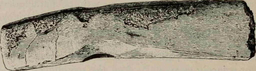 An illustration from Zeus : a study in ancient religion, 1914, leaf 760