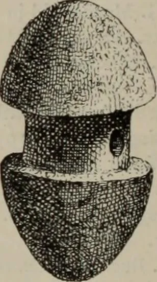 An illustration from Zeus : a study in ancient religion, 1914, leaf 760