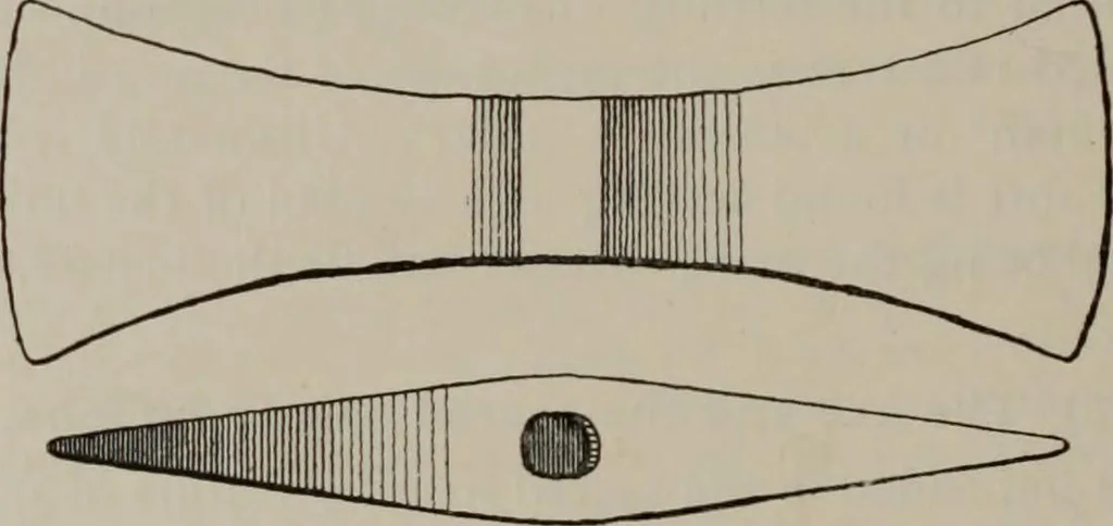 An illustration from Zeus : a study in ancient religion, 1914, leaf 802