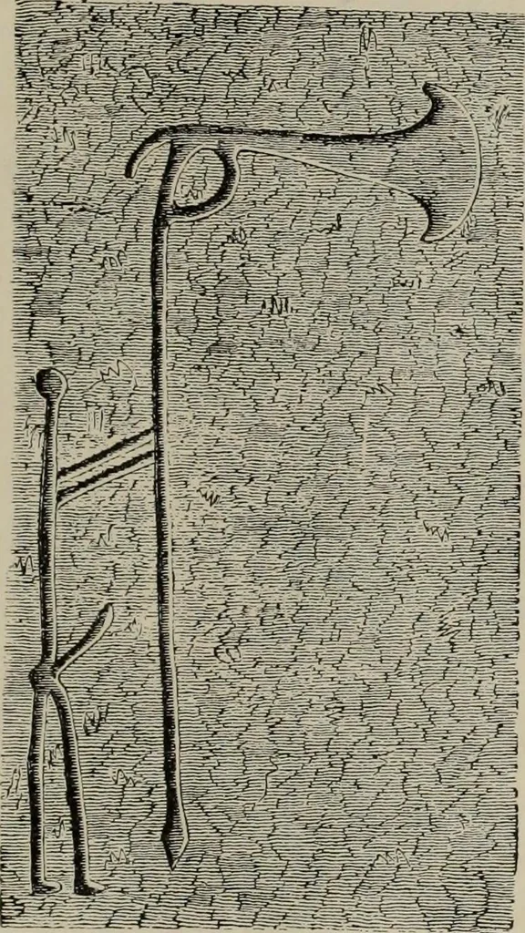 An illustration from Zeus : a study in ancient religion, 1914, leaf 811