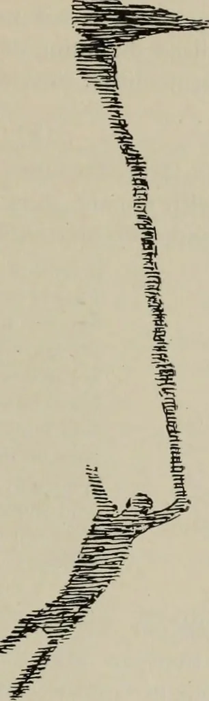 An illustration from Zeus : a study in ancient religion, 1914, leaf 813