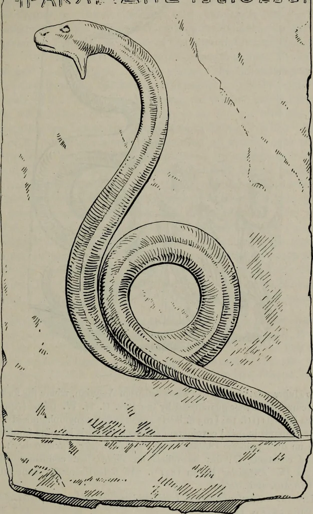An illustration from Zeus : a study in ancient religion, 1914, leaf 268
