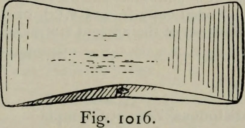 An illustration from Zeus : a study in ancient religion, 1914, leaf 386