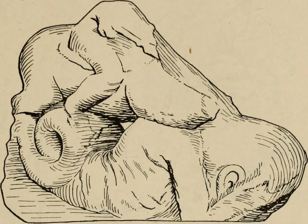 An illustration from Zeus : a study in ancient religion, 1914, leaf 132