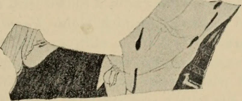 An illustration from Zeus : a study in ancient religion, 1914, leaf 180