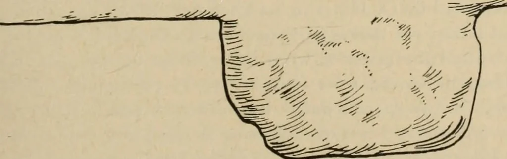 An illustration from Zeus : a study in ancient religion, 1914, leaf 364