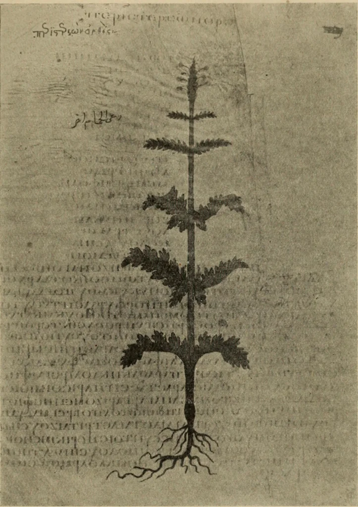 An illustration from Zeus : a study in ancient religion, 1914, leaf 506