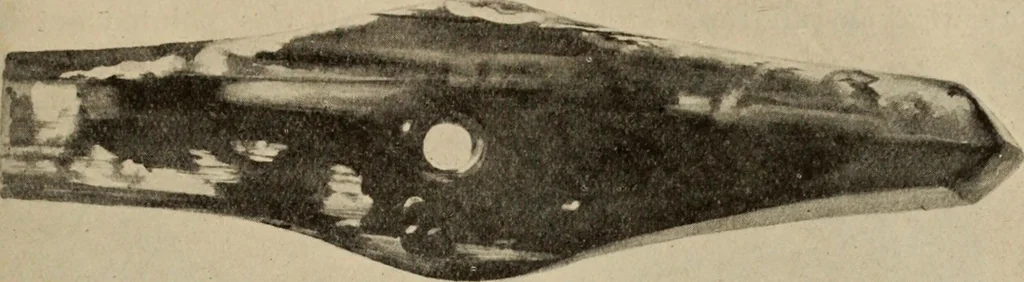An illustration from Zeus : a study in ancient religion, 1914, leaf 626