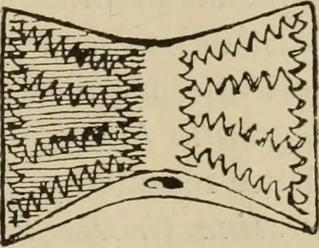 An illustration from Zeus : a study in ancient religion, 1914, leaf 762