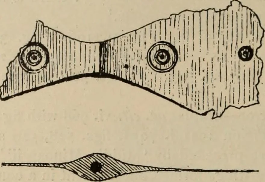An illustration from Zeus : a study in ancient religion, 1914, leaf 767