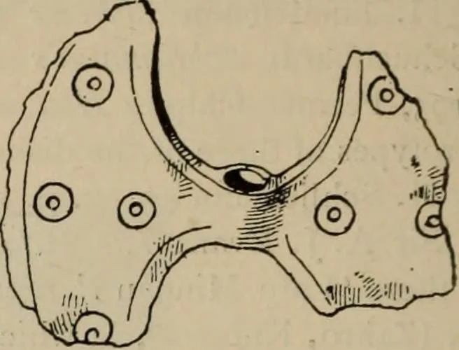 An illustration from Zeus : a study in ancient religion, 1914, leaf 767