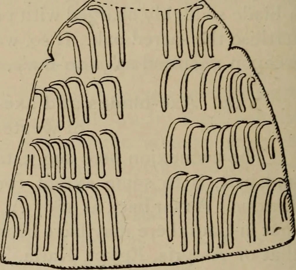 An illustration from Zeus : a study in ancient religion, 1914, leaf 807