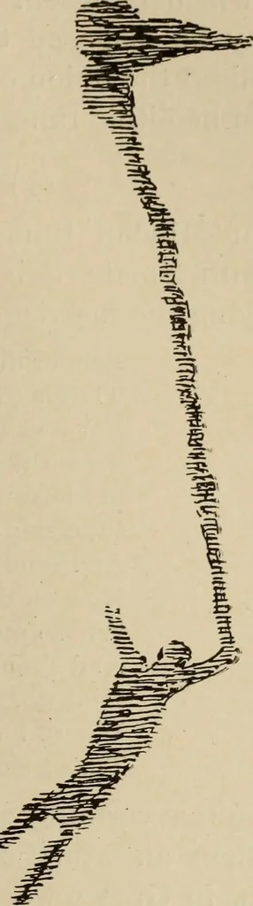 An illustration from Zeus : a study in ancient religion, 1914, leaf 810