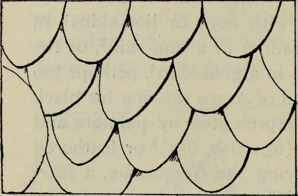 An illustration from Zeus : a study in ancient religion, 1914, leaf 1014