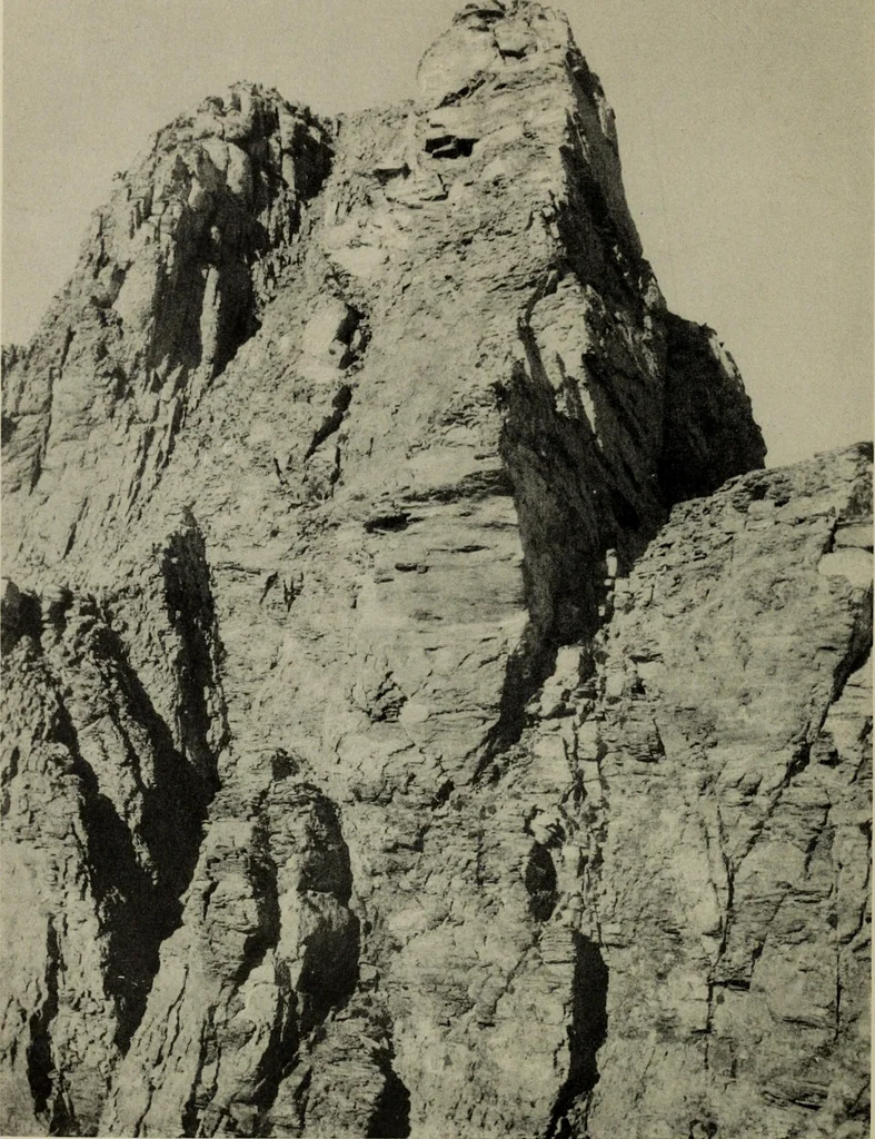 An illustration from Zeus : a study in ancient religion, 1914, leaf 1133