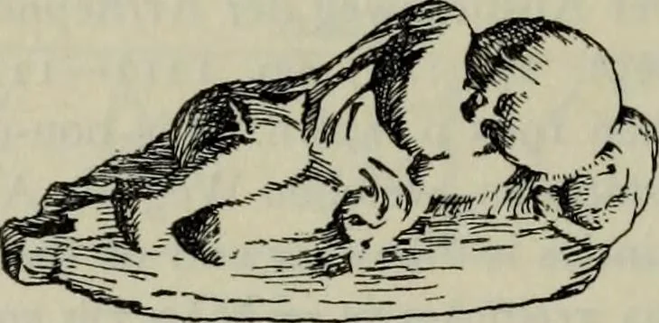 An illustration from Zeus : a study in ancient religion, 1914, leaf 252