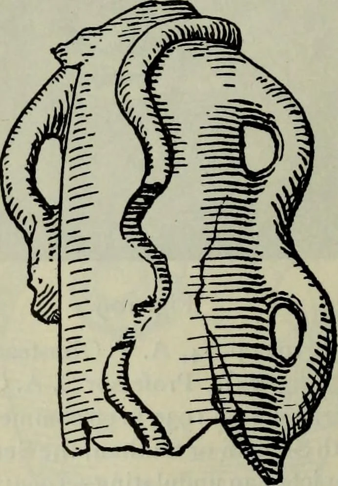 An illustration from Zeus : a study in ancient religion, 1914, leaf 289