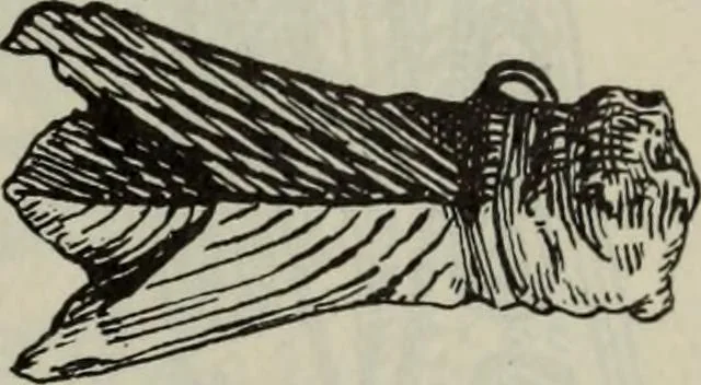An illustration from Zeus : a study in ancient religion, 1914, leaf 353