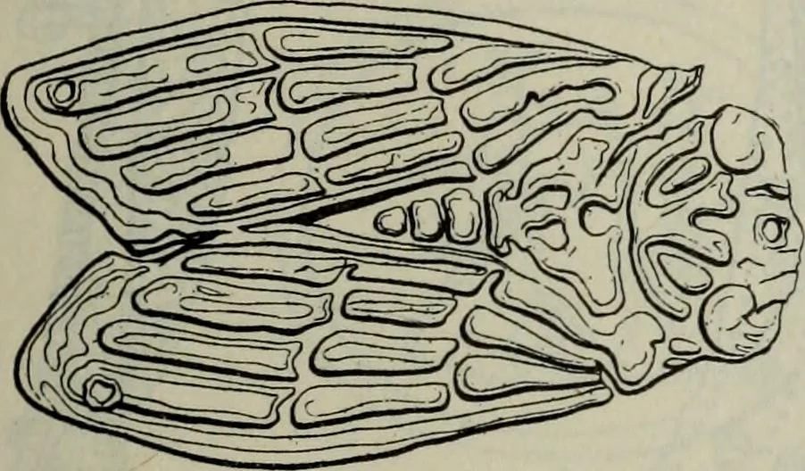 An illustration from Zeus : a study in ancient religion, 1914, leaf 353