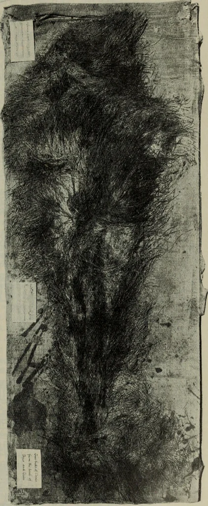 An illustration from Zeus : a study in ancient religion, 1914, leaf 403