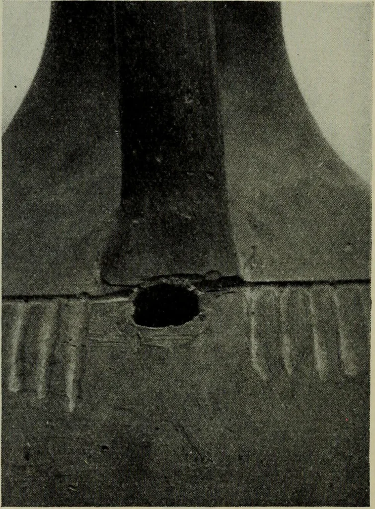 An illustration from Zeus : a study in ancient religion, 1914, leaf 494