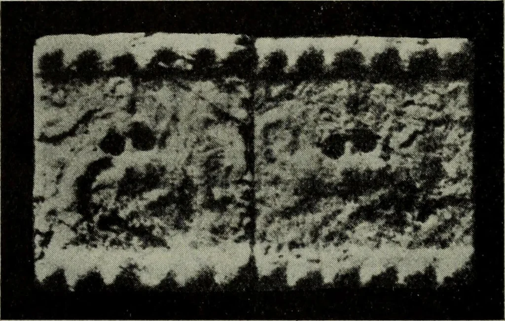 An illustration from Zeus : a study in ancient religion, 1914, leaf 768