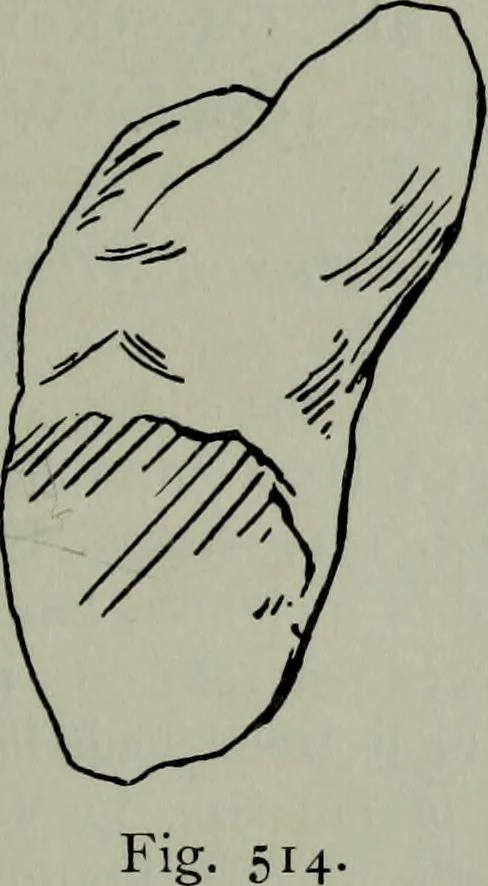 An illustration from Zeus : a study in ancient religion, 1914, leaf 866