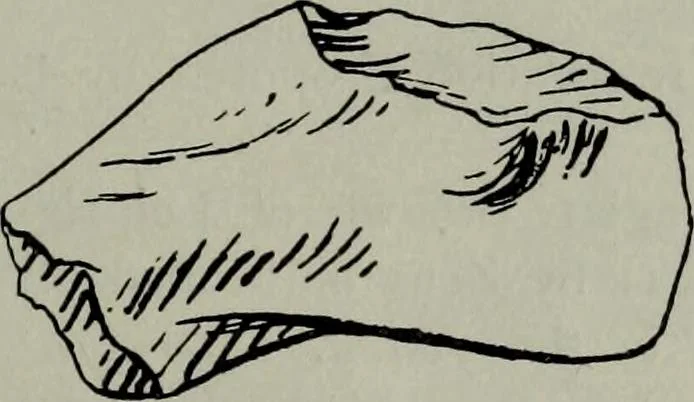 An illustration from Zeus : a study in ancient religion, 1914, leaf 866