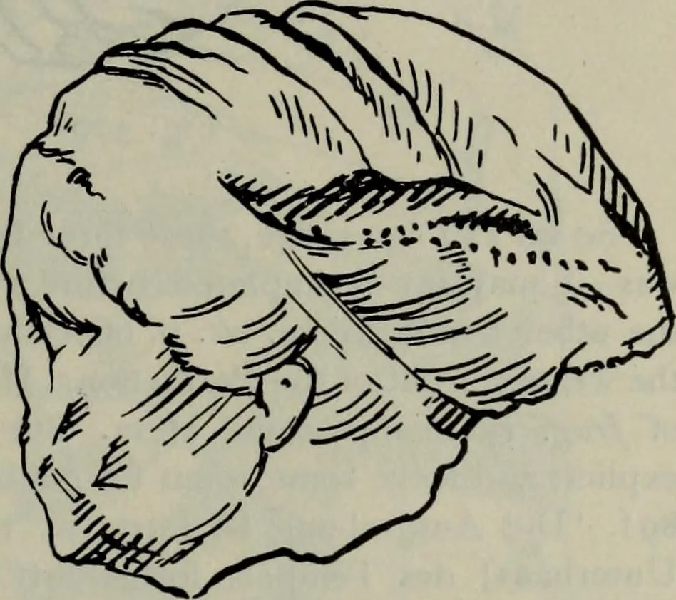 An illustration from Zeus : a study in ancient religion, 1914, leaf 870