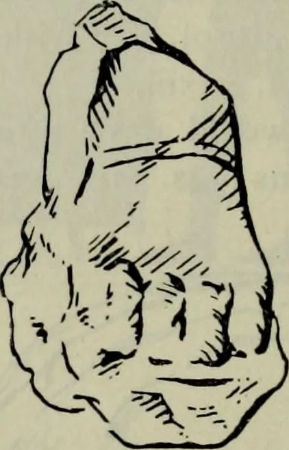 An illustration from Zeus : a study in ancient religion, 1914, leaf 871