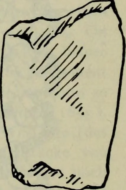 An illustration from Zeus : a study in ancient religion, 1914, leaf 873