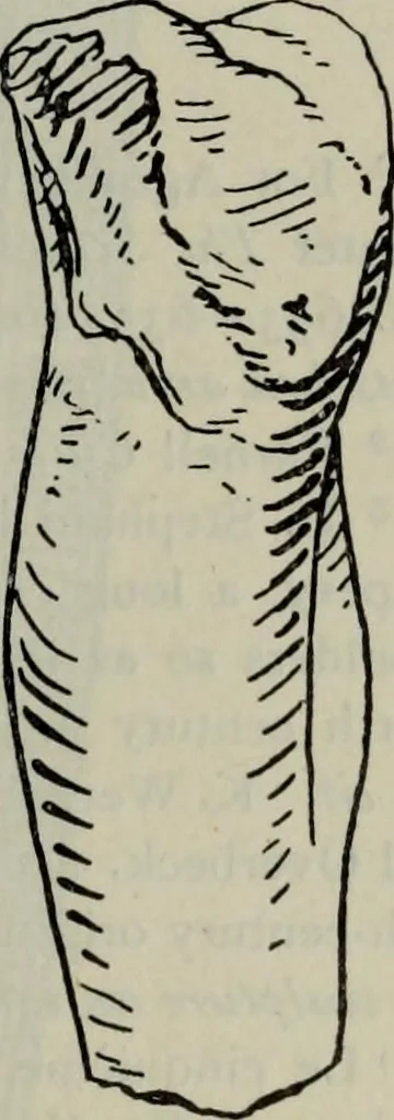An illustration from Zeus : a study in ancient religion, 1914, leaf 876