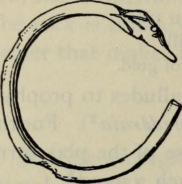 An illustration from Zeus : a study in ancient religion, 1914, leaf 938