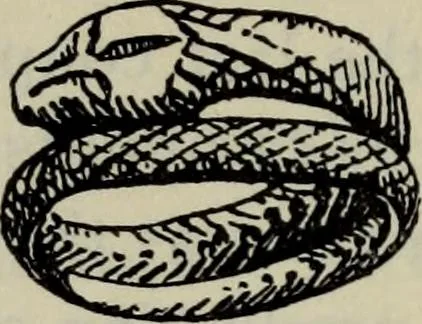 An illustration from Zeus : a study in ancient religion, 1914, leaf 938