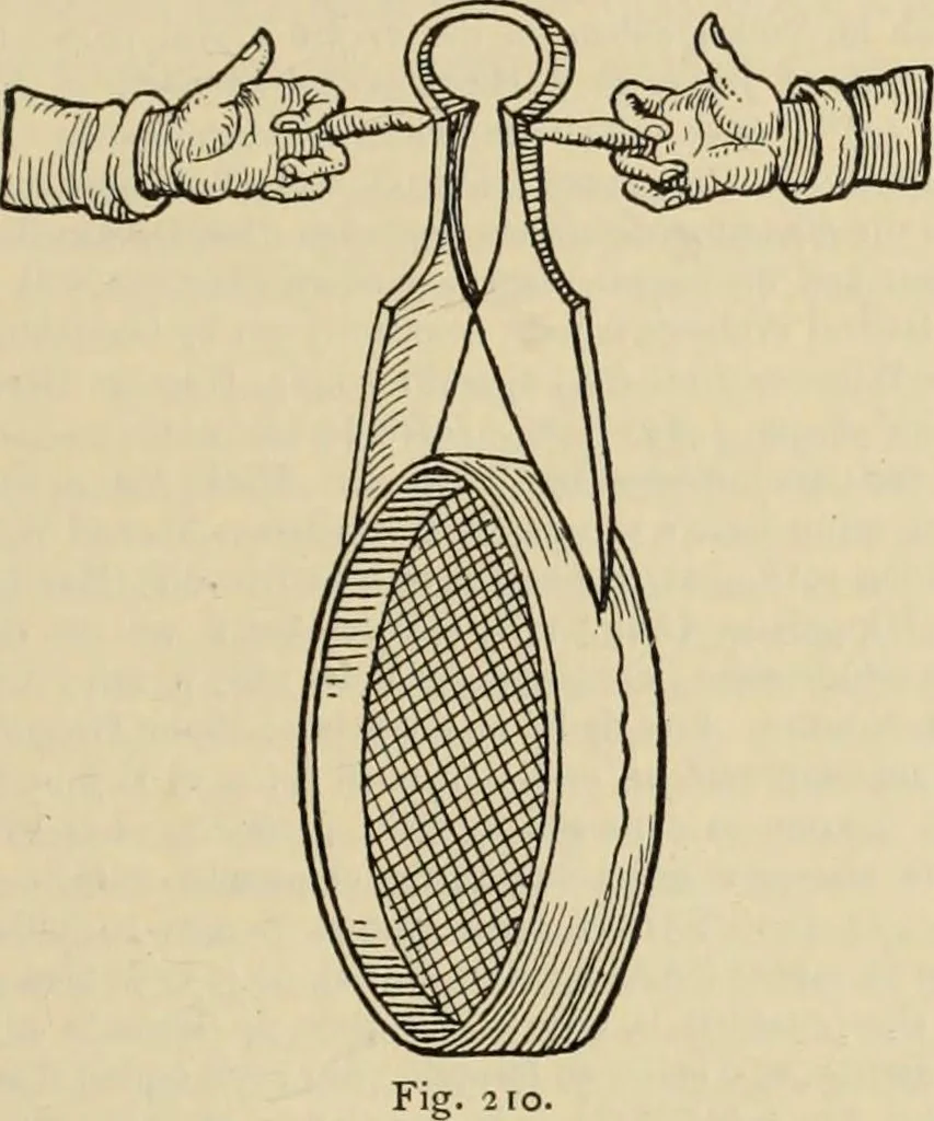 An illustration from Zeus : a study in ancient religion, 1914, leaf 446