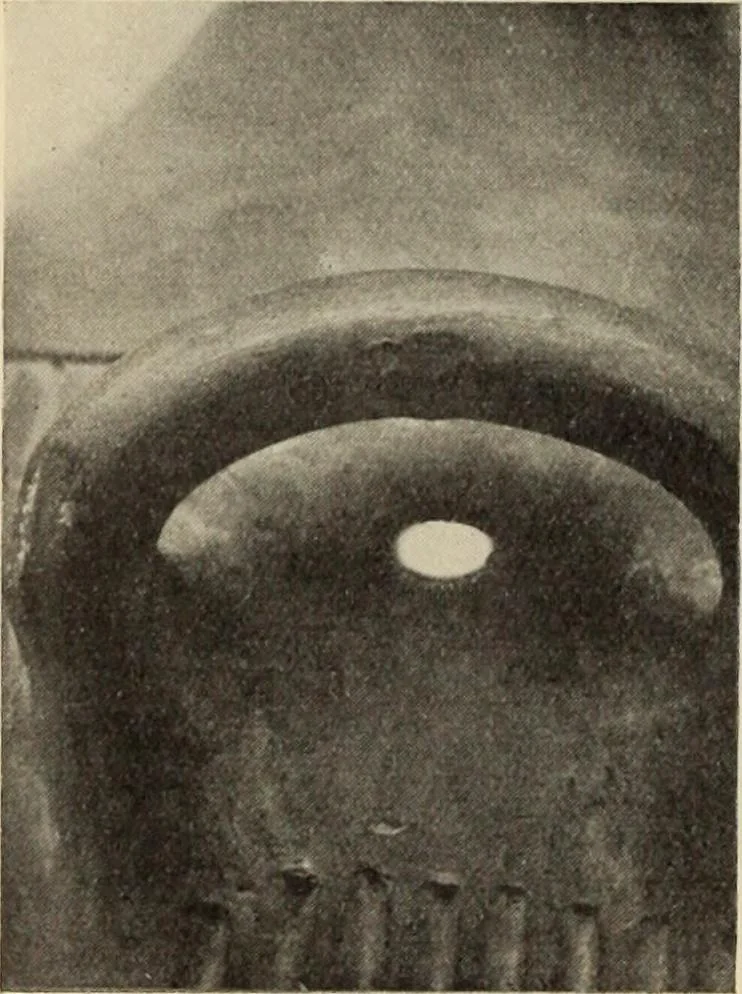 An illustration from Zeus : a study in ancient religion, 1914, leaf 495