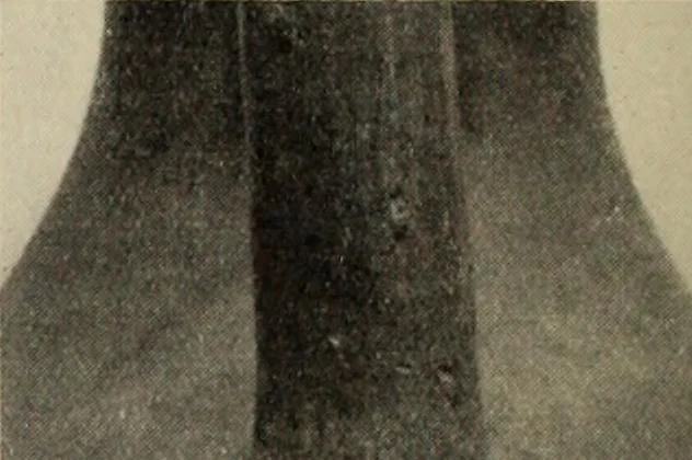 An illustration from Zeus : a study in ancient religion, 1914, leaf 495