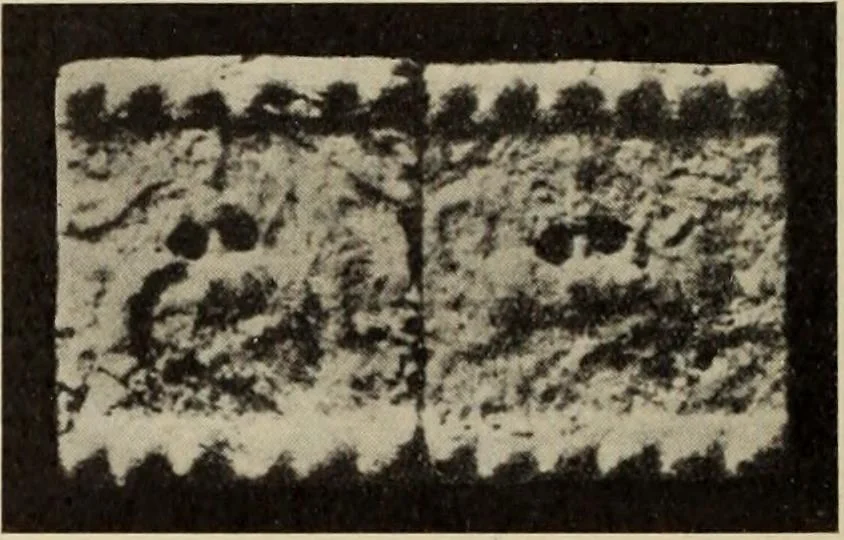 An illustration from Zeus : a study in ancient religion, 1914, leaf 769