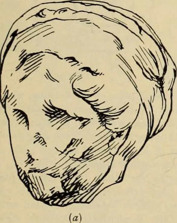An illustration from Zeus : a study in ancient religion, 1914, leaf 870