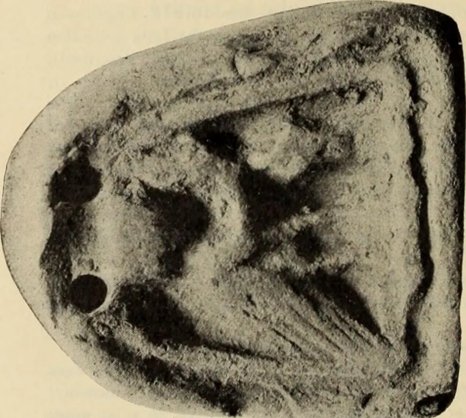 An illustration from Zeus : a study in ancient religion, 1914, leaf 969