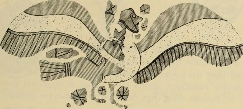 An illustration from Zeus : a study in ancient religion, 1914, leaf 974