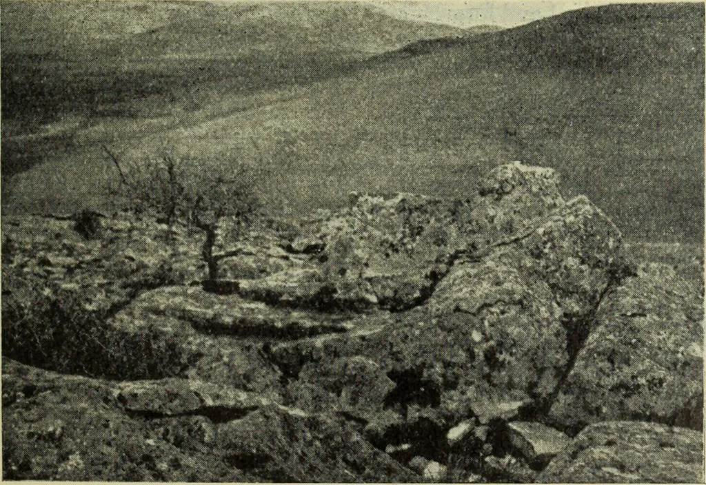An illustration from Zeus : a study in ancient religion, 1914, leaf 112